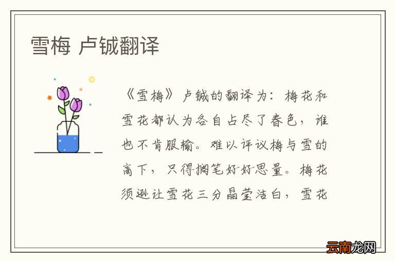 雪梅 卢铖翻译