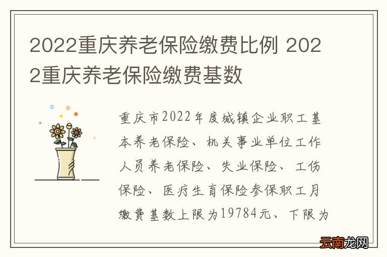 2022重庆养老保险缴费比例 2022重庆养老保险缴费基数