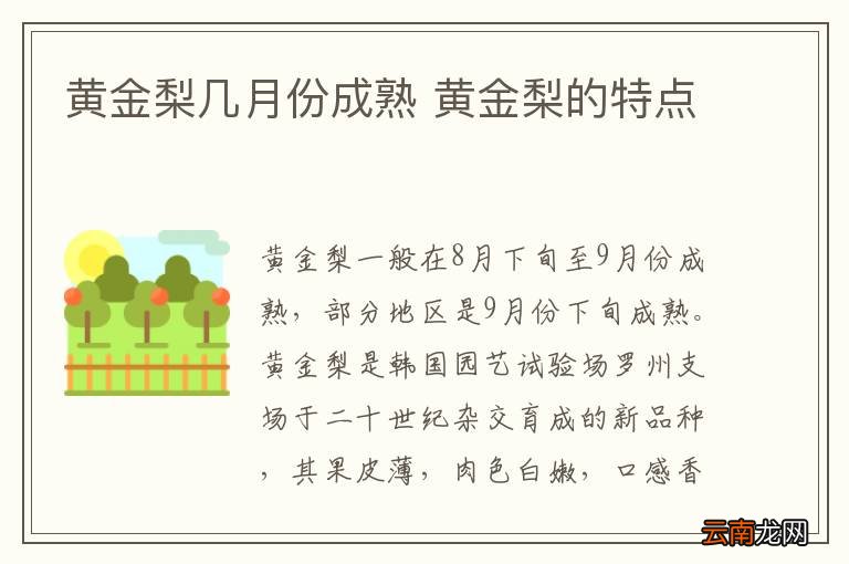 黄金梨几月份成熟 黄金梨的特点
