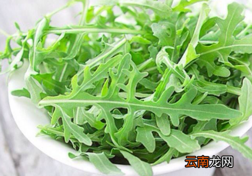 芝麻菜的热量是多少 芝麻菜功效与作用是什么