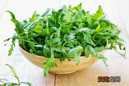 芝麻菜的热量是多少 芝麻菜功效与作用是什么