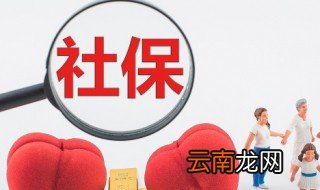 怎么查社保 查社保的方法