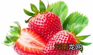 草莓苗期施肥时间和方法 草莓苗什么时候施肥