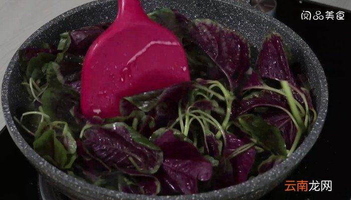 蒜蓉炒红苋菜怎么做 蒜蓉炒红苋菜的做法