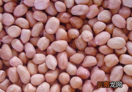 花生米发霉长毛了还能吃吗 花生米发霉长毛了怎么处理