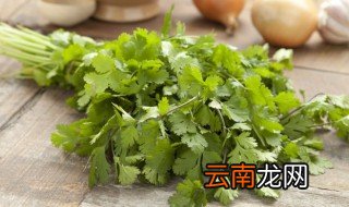 香菜苗什么时候施肥合适 香菜小苗施肥方法和时间