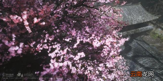 《黑神话：悟空》公布6分钟实机剧情片段、8分钟光追游玩演示