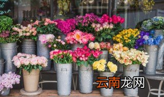 新手开花店注意事项和方法 新手开花店注意的事项
