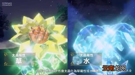 《宝可梦朱紫》太晶化团体战详细介绍