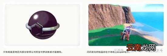 《宝可梦朱紫》太晶化团体战详细介绍