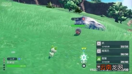 《宝可梦朱紫》太晶化团体战详细介绍