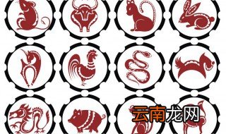 属猪佩戴什么吉祥物旺财 属猪佩戴什么吉祥物旺财运