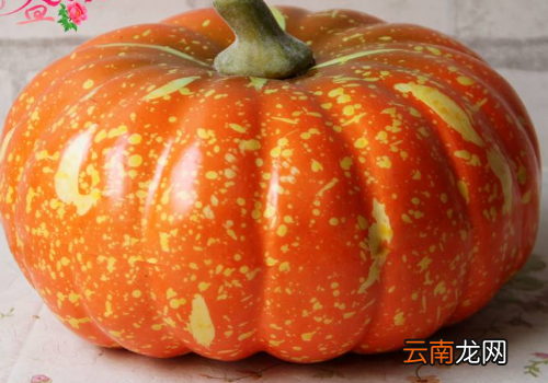 南瓜蒂的功效与作用 南瓜蒂是保胎还是堕胎