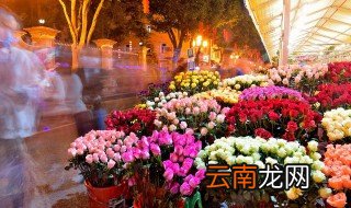 送室友的礼物女生 元旦礼物送女生室友什么好