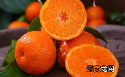 沙糖桔一天吃几个最好-吃沙糖桔的好处和坏处