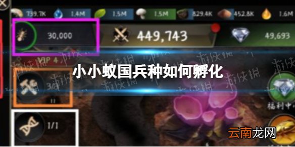 小小蚁国兵种如何孵化 小小蚁国有兵种孵化攻略