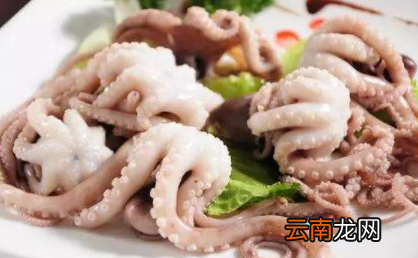 煮八爪鱼怎么才不变小-八爪鱼煮熟为什么缩小