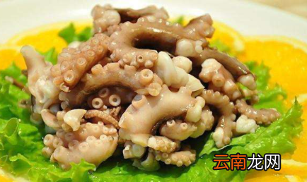 煮八爪鱼怎么才不变小-八爪鱼煮熟为什么缩小