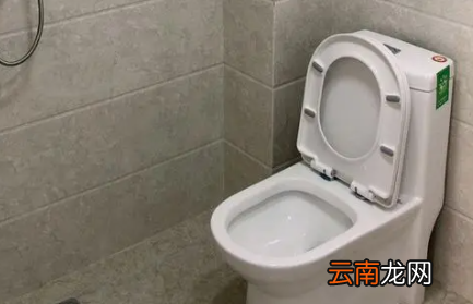厕所马桶水箱漏水怎么处理方法-马桶水箱漏水水流哪里去了