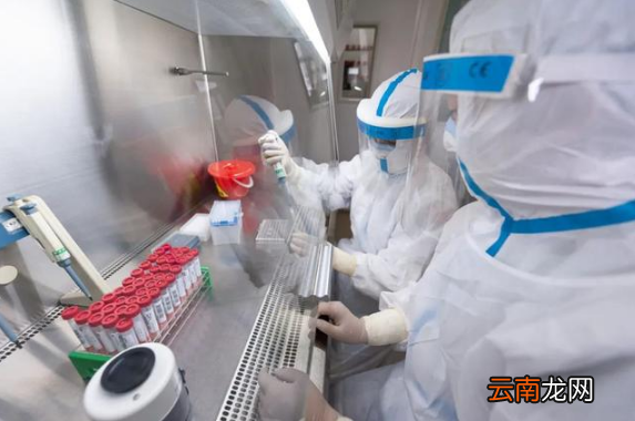 48小时核酸检测周末能做吗-48小时核酸检测星期六星期天可以做吗