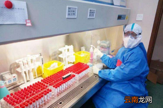 上高速核酸检测是48小时内有效吗-上高速核酸检测72小时可以吗