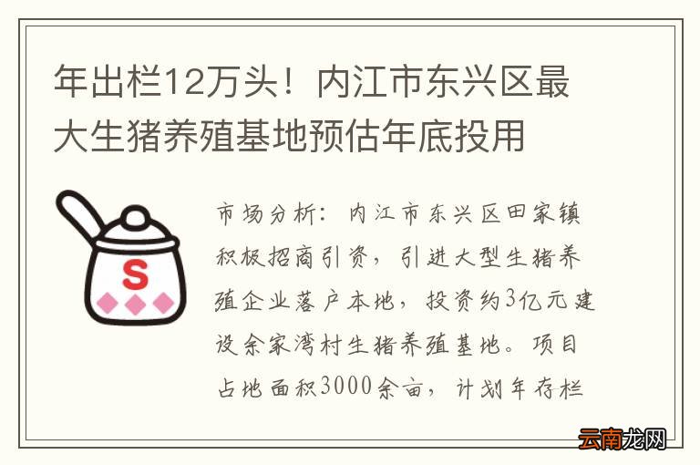 年出栏12万头！内江市东兴区最大生猪养殖基地预估年底投用