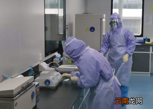 核酸检测48小时是指哪48小时-核酸检测为什么要48小时以内
