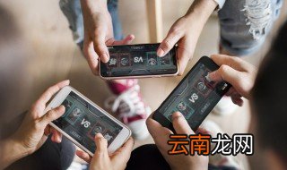 伊甸之战虫族卡组搭配 伊甸之战虫族卡组如何搭配