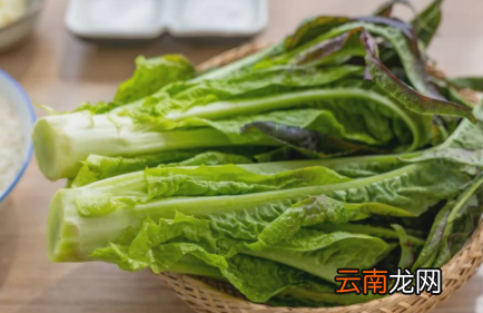 莴笋叶需要用水焯一下吗-莴笋叶没焯水吃了对身体有害吗