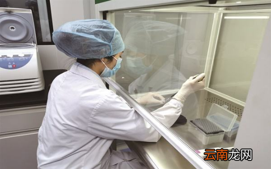 核酸检测48小时算当天吗-核酸检测48小时算几天