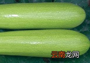 西葫芦的营养价值与作用 西葫芦的营养价值有哪些？