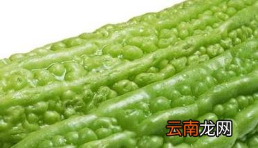 苦瓜的药用价值和医疗作用 苦瓜的药效作用