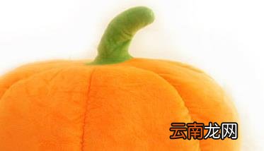 南瓜的营养价值与食用功效与作用 南瓜的营养价值和医疗作用