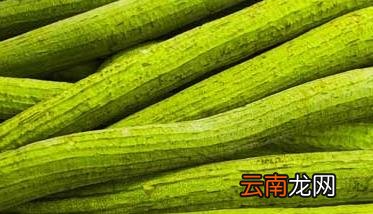 丝瓜的营养价值，丝瓜的营养价值及功效禁忌
