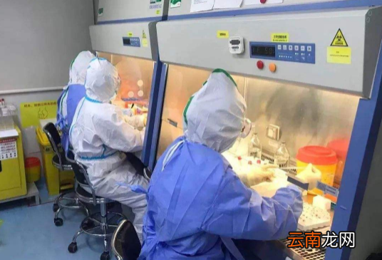48小时核酸检测可以加急出结果吗-48小时核酸检测加急要几小时出结果