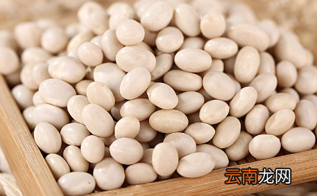 为什么吃白芸豆没瘦反而胖-有谁吃过白芸豆减肥瘦下来的