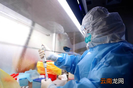 48小时核酸检测第二天出结果第四天还有用吗-核酸第二天出结果怎么算