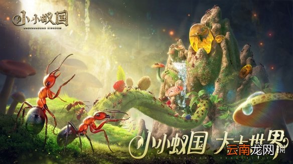 小小蚁国初期玩法思路总结 小小蚁国新手玩法思路总结