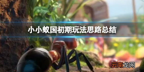 小小蚁国初期玩法思路总结 小小蚁国新手玩法思路总结