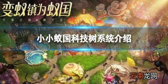 小小蚁国科技树系统介绍,小小蚁国进化菌丝
