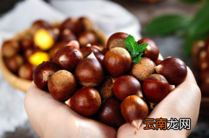 生板栗太干了怎么能把它发软-板栗干了咬不动怎么办