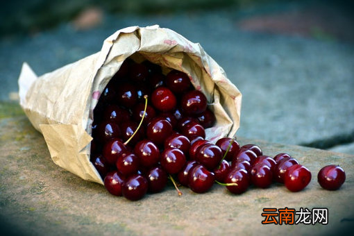 车厘子桑提娜和科迪亚哪个好吃-智利车厘子科迪亚和桑提娜哪个更甜