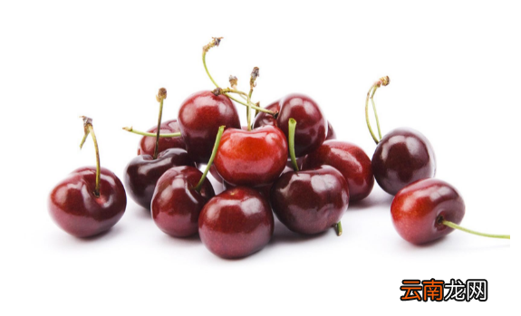 车厘子桑提娜和科迪亚哪个好吃-智利车厘子科迪亚和桑提娜哪个更甜