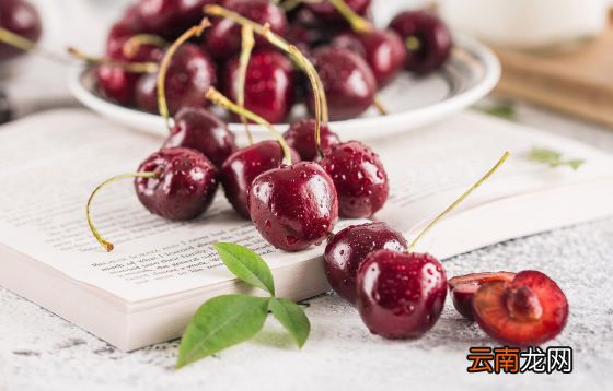 车厘子桑提娜和科迪亚哪个好吃-智利车厘子科迪亚和桑提娜哪个更甜