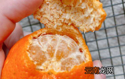 砂糖橘皮可以做陈皮吗-沙糖桔的禁忌人群