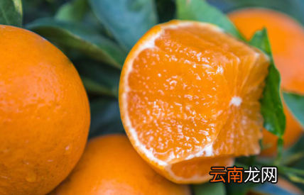 沙糖桔上火还是降火-吃砂糖橘上火咋办