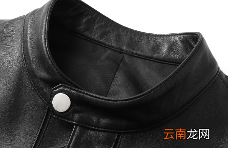 绵羊皮衣可以穿10年吗-绵羊皮贵还是山羊皮贵