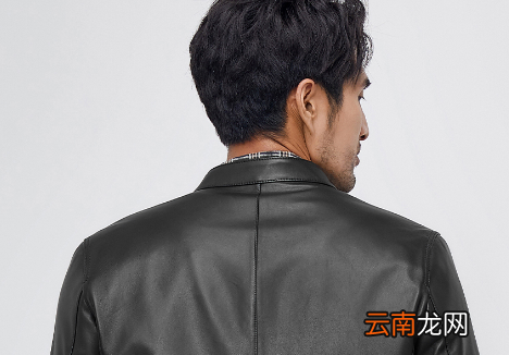 绵羊皮衣可以穿10年吗-绵羊皮贵还是山羊皮贵