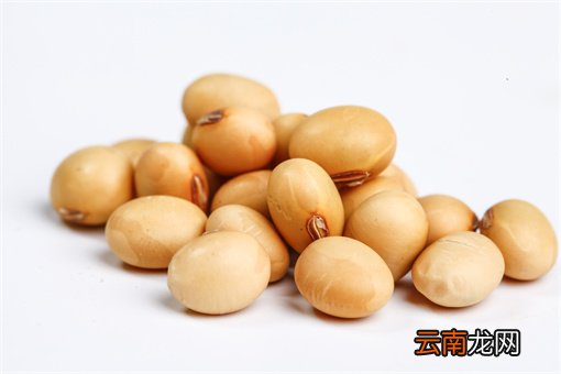 2022内蒙古玉米大豆生产者补贴最新消息：具体补贴多少钱？