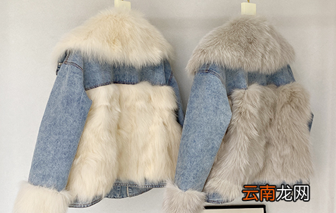 獭兔毛皮草一千元贵吗-獭兔毛和兔毛内胆价格的区别有哪些
